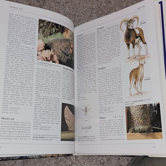 Collier's Illustrated Encyclopedia of Animals - Aardvark to Zorille + 2,000 More - Picture 9 of 14